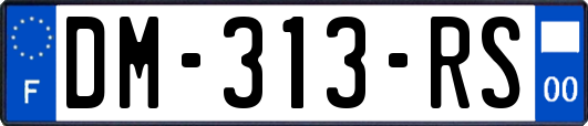 DM-313-RS