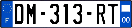DM-313-RT