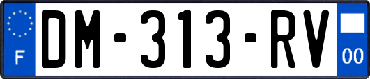 DM-313-RV