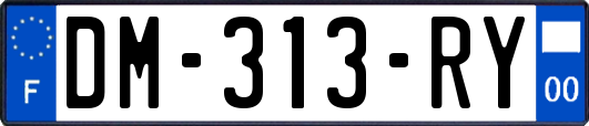 DM-313-RY