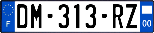 DM-313-RZ