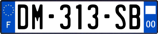 DM-313-SB