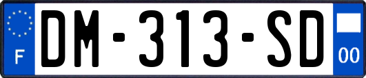 DM-313-SD