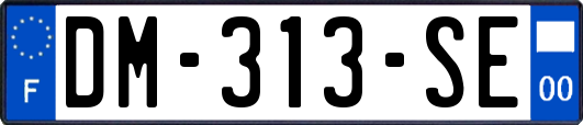 DM-313-SE