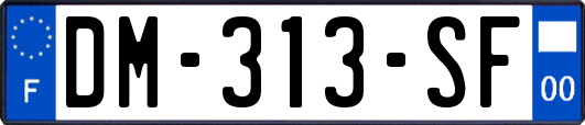 DM-313-SF