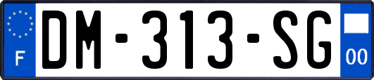 DM-313-SG