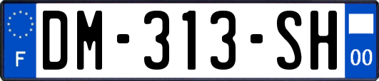 DM-313-SH