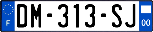 DM-313-SJ