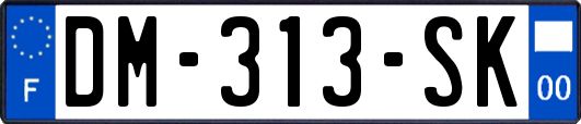 DM-313-SK