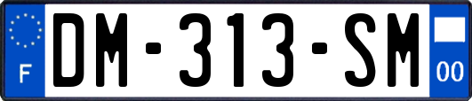 DM-313-SM