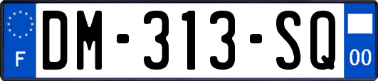 DM-313-SQ