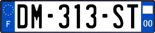 DM-313-ST