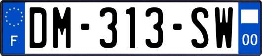 DM-313-SW