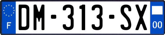 DM-313-SX