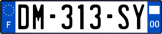DM-313-SY
