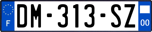 DM-313-SZ