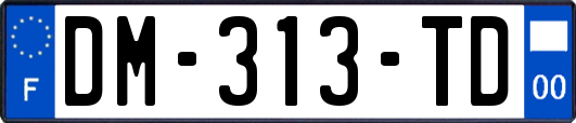 DM-313-TD