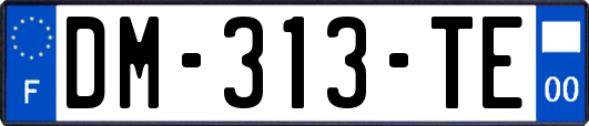 DM-313-TE