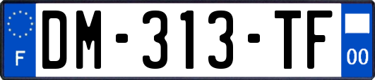 DM-313-TF