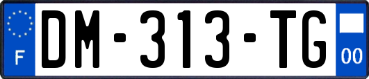 DM-313-TG