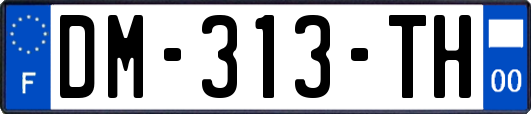 DM-313-TH