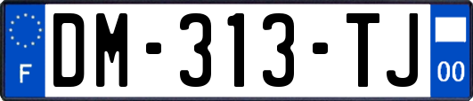 DM-313-TJ