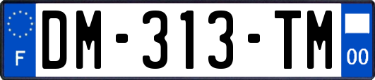DM-313-TM