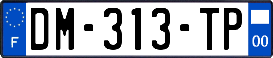 DM-313-TP