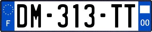 DM-313-TT