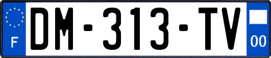 DM-313-TV