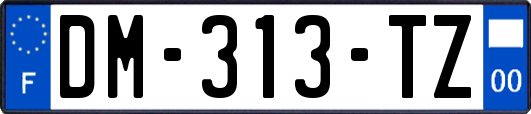 DM-313-TZ
