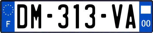 DM-313-VA