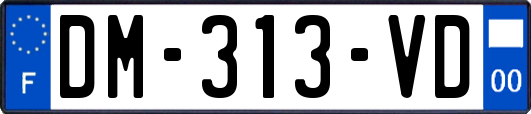 DM-313-VD