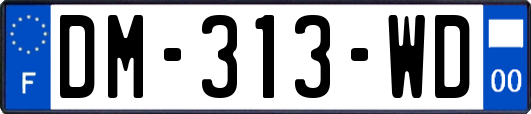 DM-313-WD