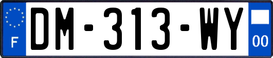 DM-313-WY