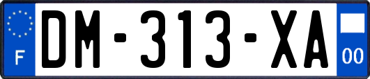 DM-313-XA