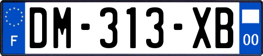 DM-313-XB