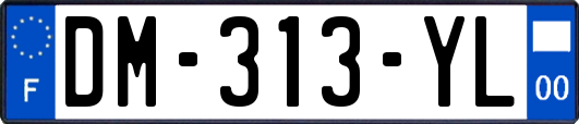 DM-313-YL