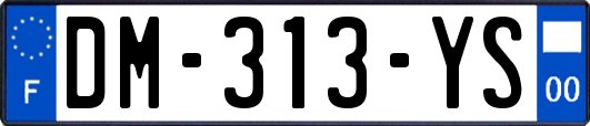 DM-313-YS