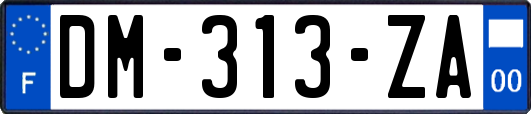 DM-313-ZA