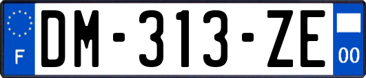 DM-313-ZE