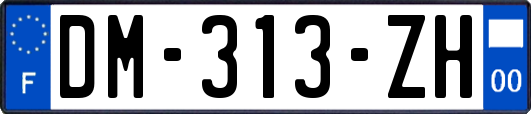 DM-313-ZH