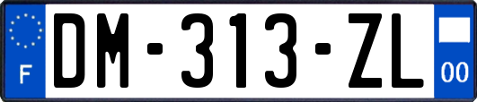 DM-313-ZL