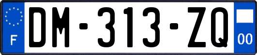 DM-313-ZQ