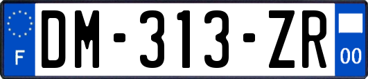 DM-313-ZR