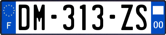 DM-313-ZS