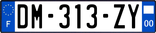 DM-313-ZY