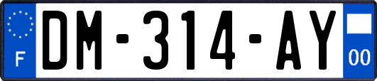 DM-314-AY