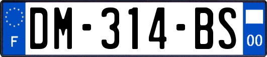 DM-314-BS