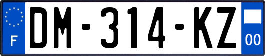 DM-314-KZ